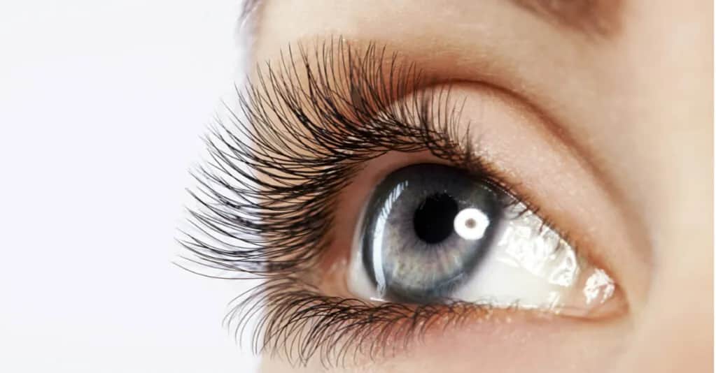 Czy wazelina naprawdę pomaga na rzęsy? Odkryj jej skuteczność