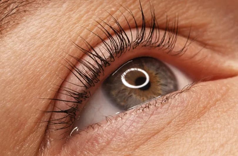 Czym jest lifting rzęs? Efekty, przebieg i pielęgnacja po zabiegu
